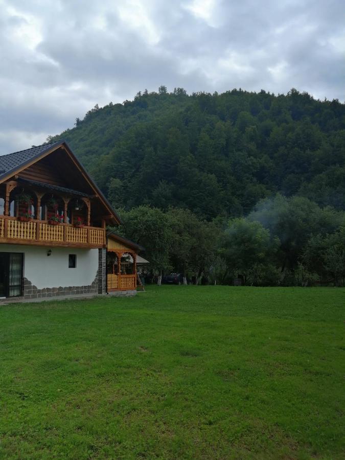 Casa Nova Villa Viseu de Sus Exterior photo